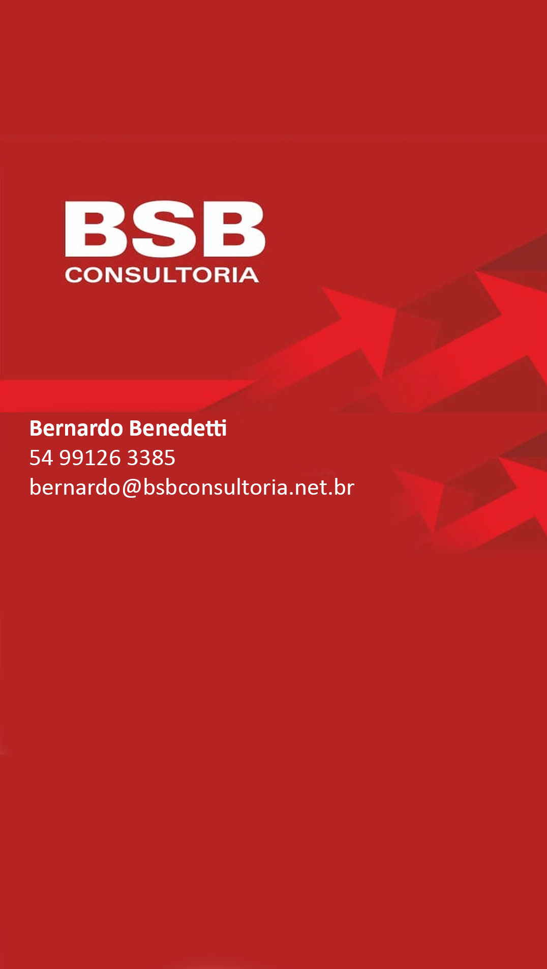 BSB - CONSULTORIA